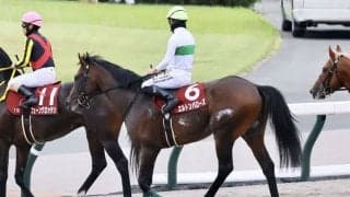 【毎日王冠】西村淳「神様にお祈りしていた」エルトンバローズがハナ差押し切る