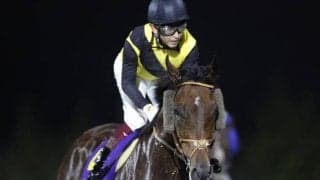 【今日の注目ポイント】ジャパンC前哨戦の京都大賞典、盛岡ではマイルCS南部杯