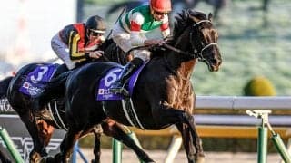 【京都大賞典予想】実績馬集う中距離重賞 淀の急坂が勝負を分けるレース