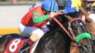 道悪残れば京都大賞典で一発あるぞ 伏兵が距離延長も味方に波乱呼ぶ