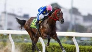 【川崎・鎌倉記念枠順】重賞勝ち馬アムクラージュは5枠5番、良血馬ライゾマティクスは8枠10番