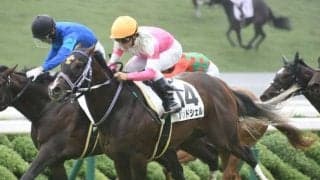 【京都4R新馬戦結果】バンドワゴン産駒のバンドシェルが差し切りV！