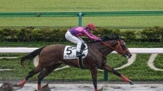 【東京6R新馬戦結果】セントパトリックズデイ産駒のエンブレムボムがデビューV！ 父はアメリカンファラオの全弟