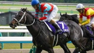 【京都大賞典・馬体重】ディープボンドは508kg(+6)、ブローザホーンは414kg(-8)