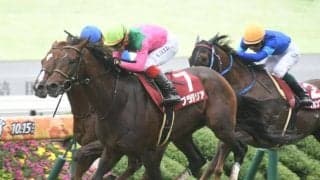 【京都大賞典結果】プラダリアが青葉賞以来となる重賞2勝目を挙げる
