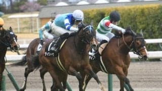 【府中牝馬S】ディヴィーナ、ルージュエヴァイユらが登録