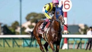 【菊花賞】ソールオリエンス、タスティエーラらが登録