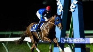 【南部杯】レモンポップが独走！大差圧勝