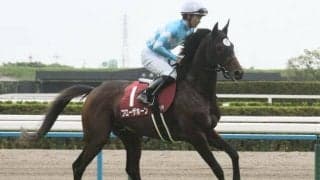 京都大賞典で競走中止のブローザホーンは心房細動 9日の出来事一覧/東京・京都