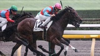 【新馬/東京5R】エピファネイア産駒 ファビュラススターが快勝