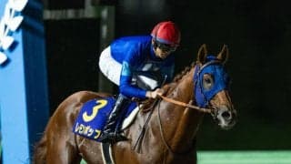 【南部杯】坂井「一緒にレースを楽しんだ」レモンポップが大差圧勝