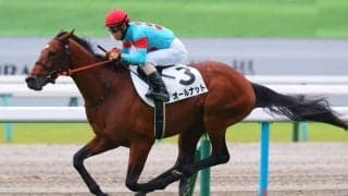 【新馬/京都5R】ショウナンパンドラ半弟、オールナットがデビューV