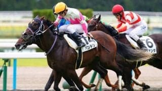 【新馬/京都4R】バンドワゴン産駒 バンドシェルが豪快に差し切る