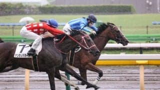 【東京8R】藤田菜七子騎乗、エリーズダイヤが惜敗に終止符、初勝利