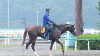 叔父にドゥラメンテ「前向きに走るタイプ」のボーモンド/関東馬メイクデビュー情報