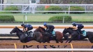 1億3000万円ホース・アドマイヤアストラ 武豊騎手背に初陣/関西馬メイクデビュー情報