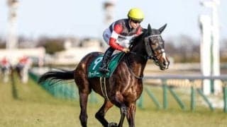 【AI予想・秋華賞】リバティアイランドの三冠に黄色信号!? 人工知能の本命候補は春の雪辱を期す3頭