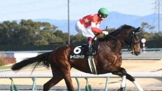 【府中牝馬S予想オッズ】ルージュスティリアが予想1番人気