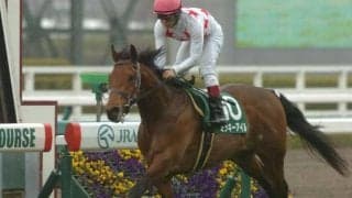 寒さに強い血統っている？ 日ごとに冷え込むこの時期に狙ってみたい種牡馬とは