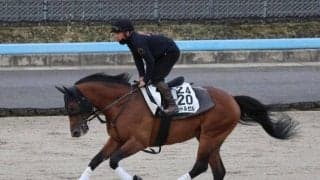 レッドルゼルなど、先週の入厩情報/栗東トレセンニュース