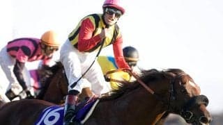 スクリーンヒーローが種牡馬を引退 父としてGI馬3頭を送り出す