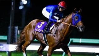 レモンポップの次走は3つの選択肢 ゴドルフィンが発表