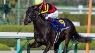 打倒リバティアイランドへ 桜花賞2着馬が秋華賞で待望のGI制覇狙う