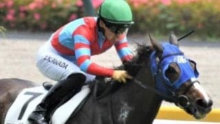 秋華賞はキャリア豊富な馬に要注意!? 13戦目迎える逃げ馬に注目
