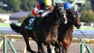 走りは世代上位 オークス2着の実力派がハーツクライ産駒の秋華賞初Vに挑む