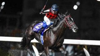 【川崎・鎌倉記念結果】ホッカイドウ競馬のサントノーレが初重賞制覇！