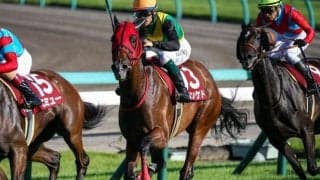 【秋華賞展望】内回りコースだが差しが決まりやすい一戦、シランケドの一発に期待