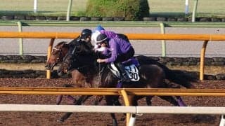 ドウデュース、天皇賞(秋)2週前追い切り速報/栗東トレセンニュース