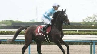 「心房細動」は一過性のもの？ 競走中止に至るケースもある疾病を深掘り