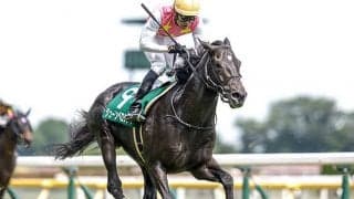 【東京ハイJ出走馬・騎手確定】ジューンベロシティ＆西谷誠騎手、ニシノデイジー＆五十嵐雄祐騎手など12頭