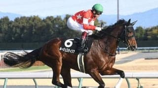 【府中牝馬S出走馬・騎手確定】ルージュスティリア＆川田将雅騎手、ディヴィーナ＆M.デムーロ騎手など13頭