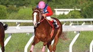 【園田・ネクストスター園田結果】マミエミモモタローが無傷の4連勝で重賞3勝目！