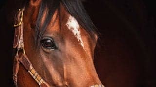 【秋華賞／全頭診断】リバティアイランド相手に「1.3.0.0」条件合致の穴馬浮上