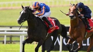 ディープ産駒のオーギュストロダンがジャパンCに予備登録