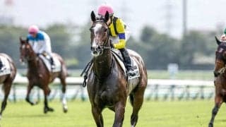 女王撃破に燃えるキタサンブラック“三本の矢” 秋華賞で一矢報いるのは