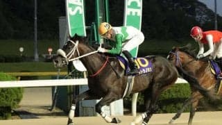 【ネクストスター佐賀】ウルトラノホシが快勝…石川倭「終始余力のある走りでした」