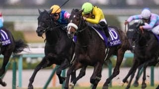 サークルオブライフが競走馬登録抹消