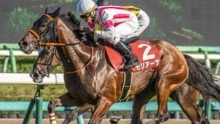 横山典弘騎手が15回目の秋華賞挑戦 紫苑S覇者とのコンビで初制覇へ