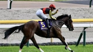 【秋華賞】出走馬の調教後の馬体重