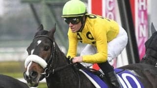 21年阪神JF覇者のサークルオブライフが登録抹消 今後は千代田牧場で繁殖牝馬に