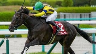 ローズS覇者が秋華賞でGI初制覇へ カギは京都内回りへのコース替わり