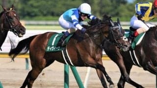 府中牝馬S出走の良血馬ディヴィーナ 8度目の重賞チャレンジで初制覇なるか
