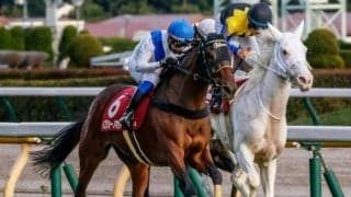 府中牝馬S連覇を狙うイズジョーノキセキ 6歳馬Vで歴史をつくるか