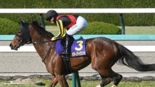 【秋華賞枠順確定】リバティアイランドは3枠6番、ハーパーは1枠2番