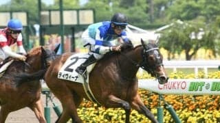 【府中牝馬S枠順確定】ルージュスティリアは3枠3番、ディヴィーナは5枠7番