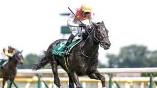 【東京ハイジャンプ枠順確定】ジューンベロシティは4枠4番、ニシノデイジーは3枠3番